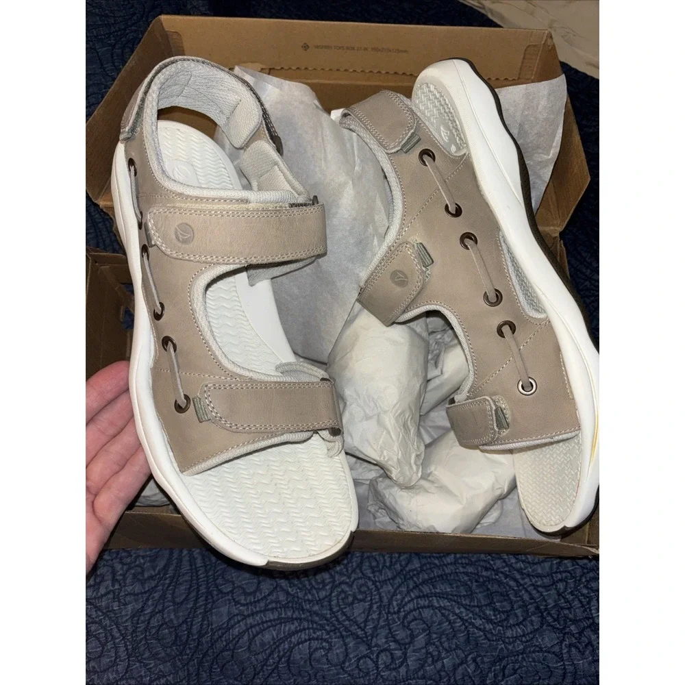 Sperry box torn